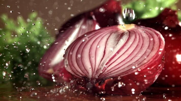 Agri India Seeds farm Wadki Pune